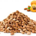 Apricot Seeds-1-Made In Himachal