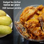 Galgal Ka Achar2-Made In Himachal