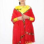 Handloom-Woven-Kullu-Design-Wool-Shawl2-1.jpg